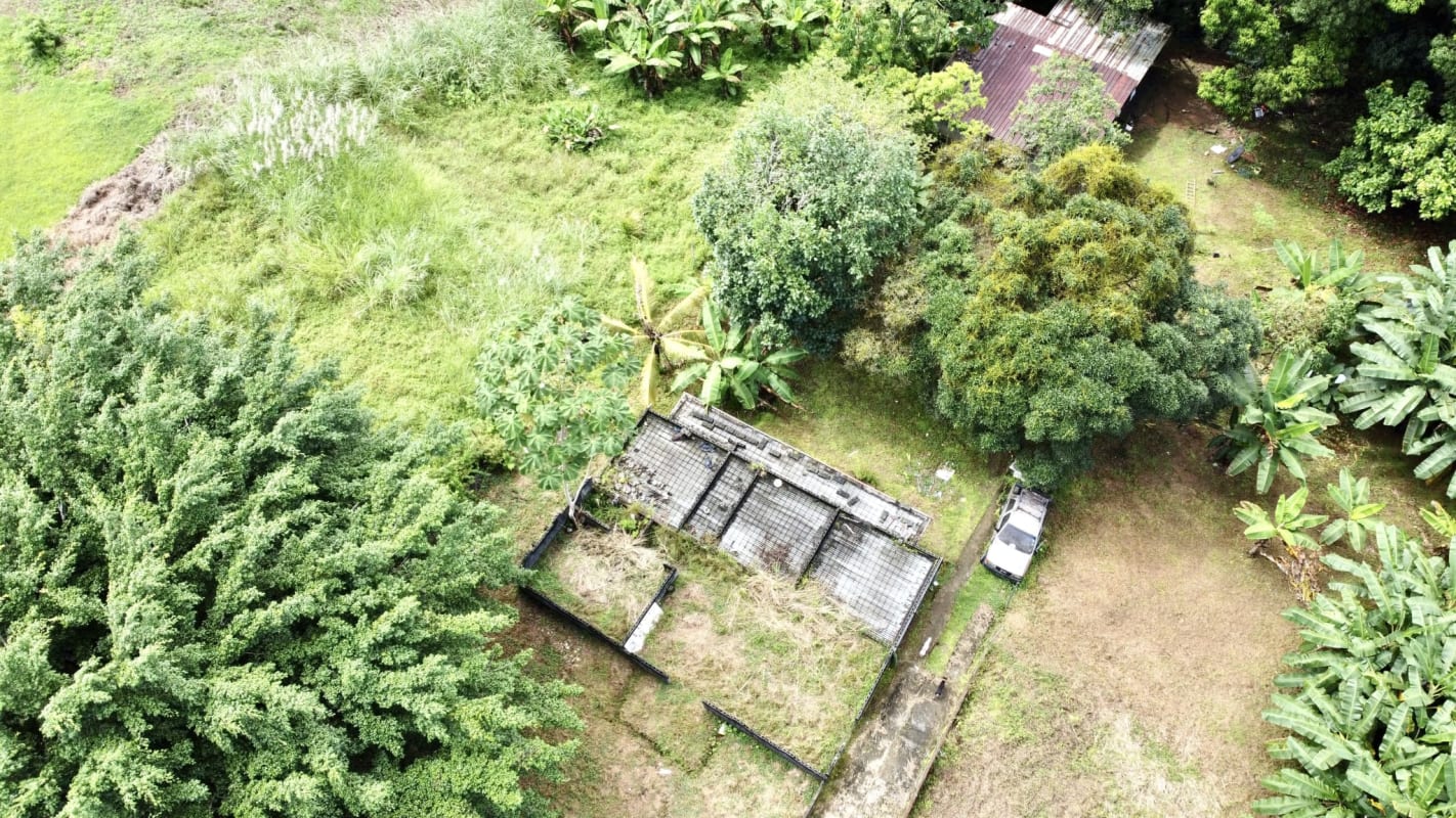 Large land plot with potential for residential or commercial development in Panama City