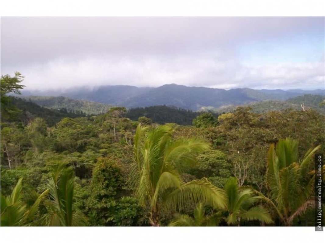 Panoramic dense jungle and cloud forest over mountain slope Cerro Azul Panama