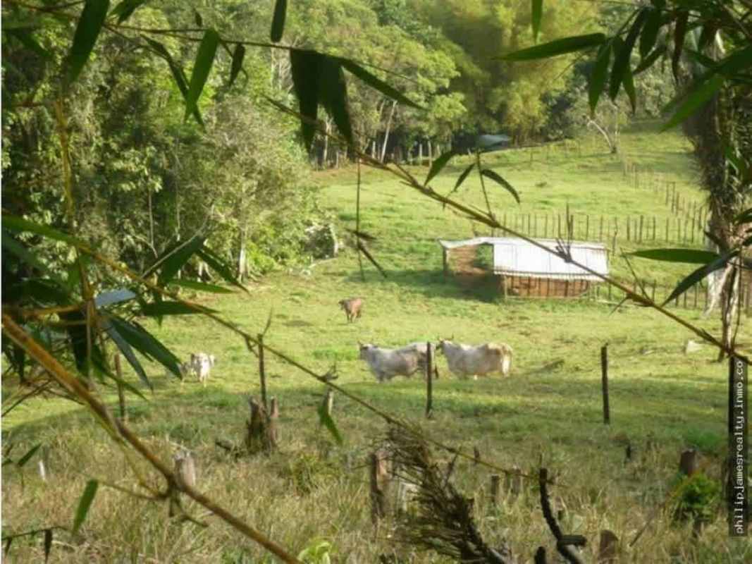 Wooden fence entrance gate and trees at Cerro Azul ranch land Panama