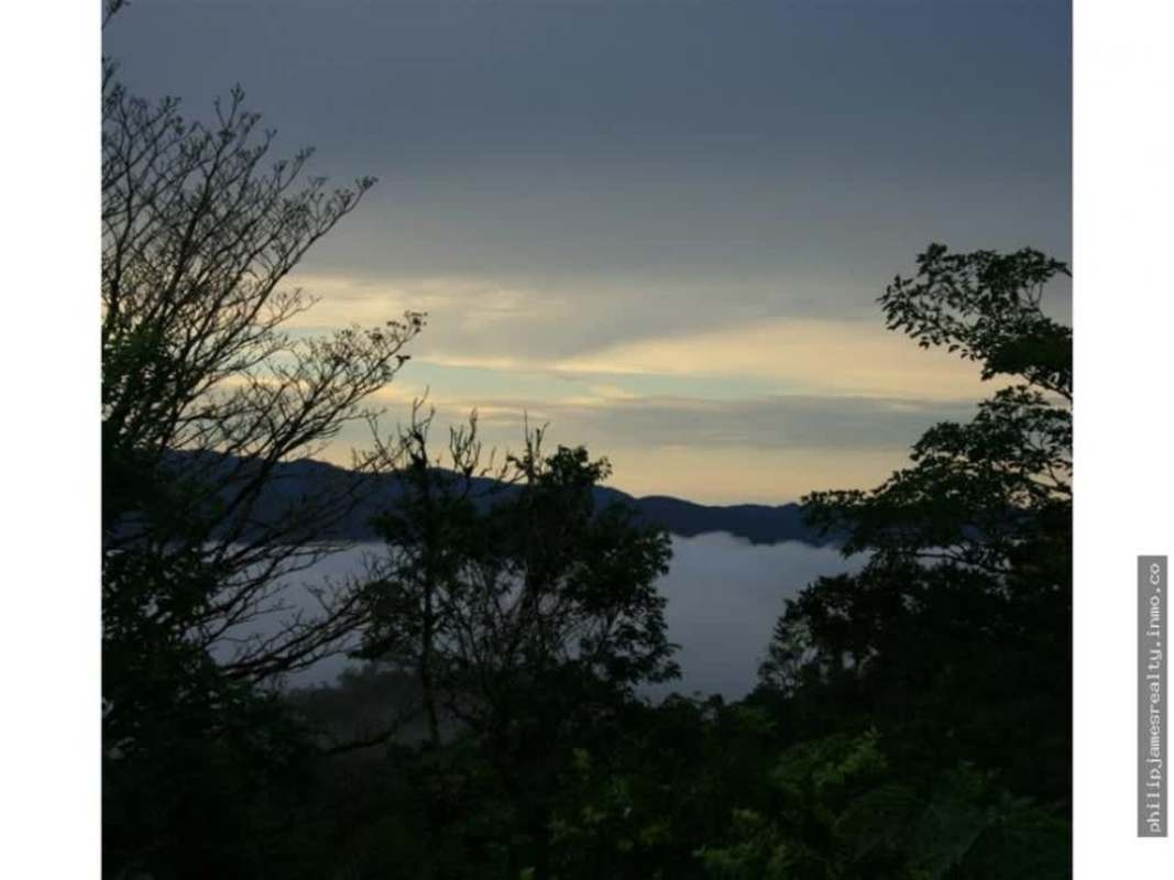 Fog drifting through forest between mountain slopes Cerro Azul Panama