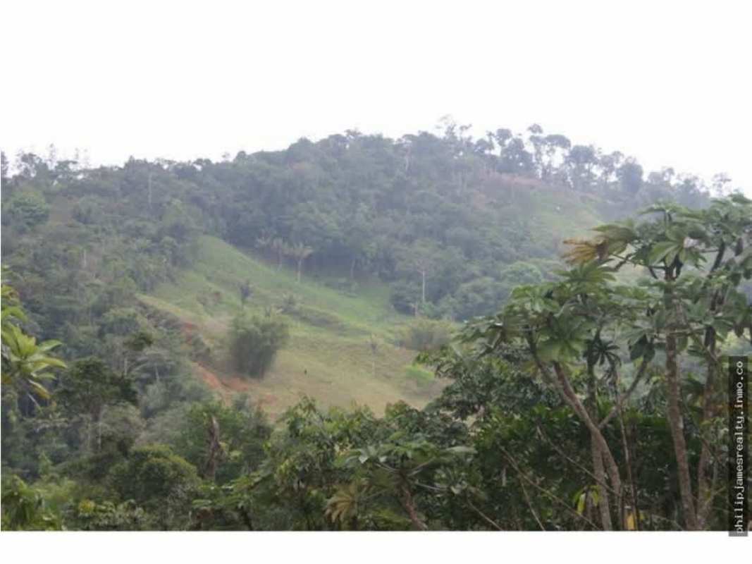 Hilly green mountain landscape with dense tropical forest Cerro Azul Panama