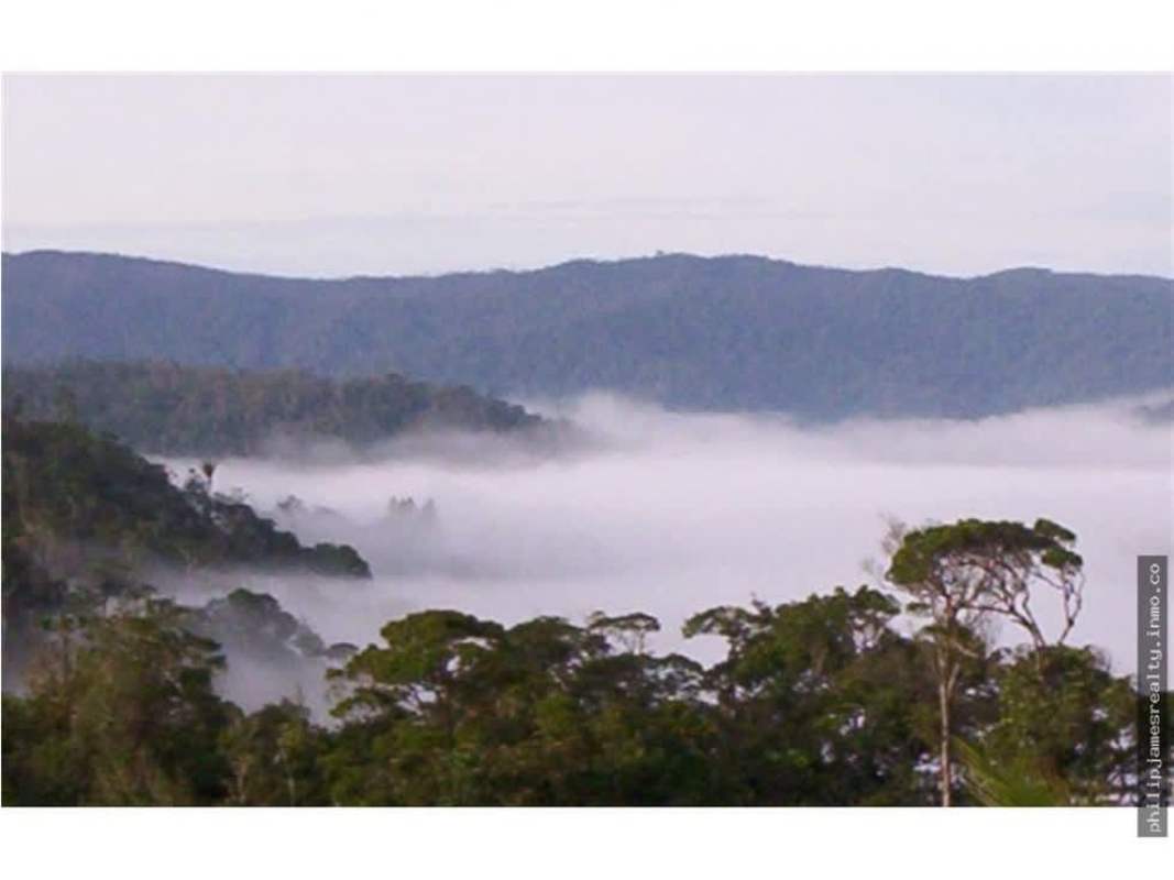 Mist-covered forest mountain view Cerro Azul land Panama