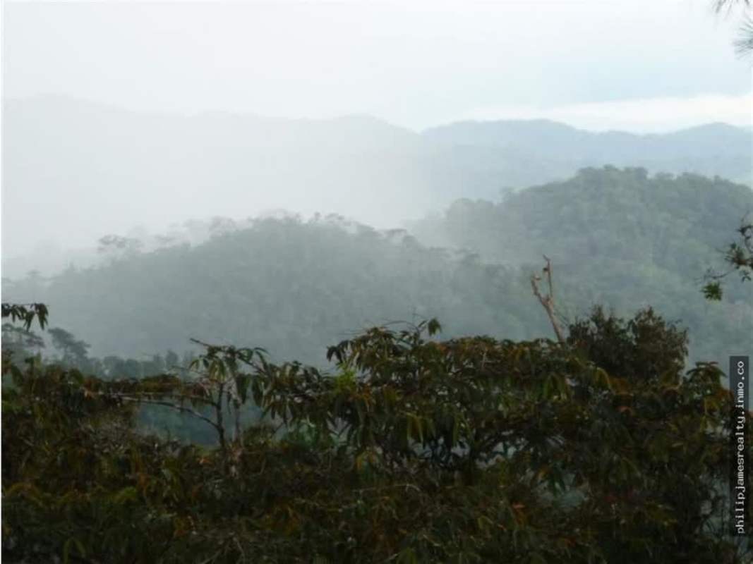 Thick green jungle covering mountain hillside Cerro Azul Panama land
