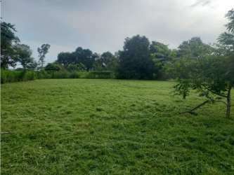 Vacant land covered in grass with trees near Pacific Ocean in Panama