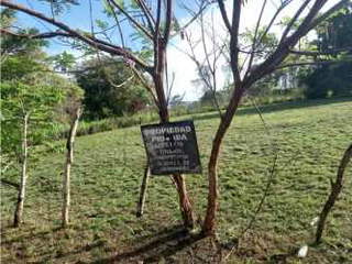 Land Lot for Sale in Chame - 0 bedrooms