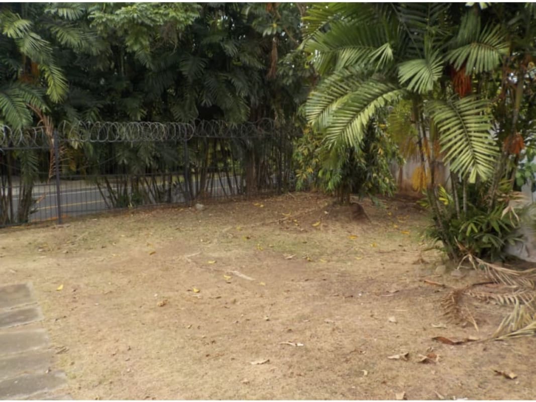Spacious garden with tropical plants dry lawn and barbed fence Coco del Mar Panama