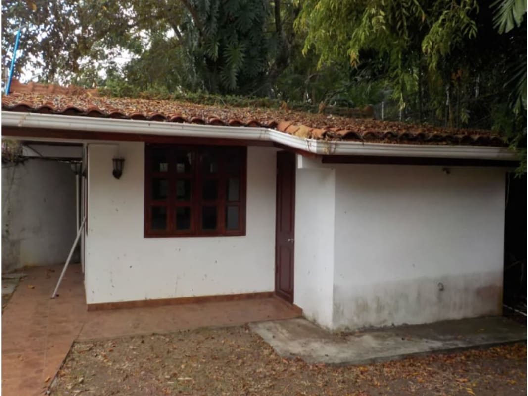 Small guest home white walls tile roof in tropical garden setting Coco del Mar Panama