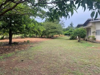 Large grassy lot with mature trees in rural Aguadulce near road access Panama