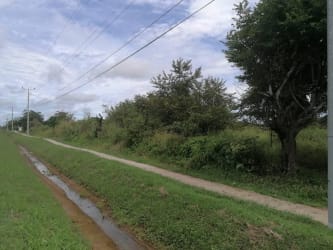 Dirt road with greenery, power pole and drainage Aguadulce Panama land lot