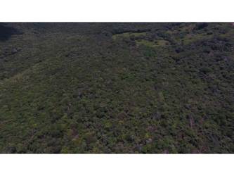Rolling dense forest and natural terrain aerial at Playa Caracol Punta Chame Panama