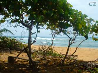 Caribbean beachfront clear sky natural shore waves Palenque Costa Arriba Panama