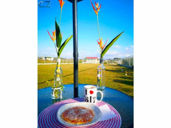 Cozy outdoor covered area with hammock and lighting in Panama countryside lot