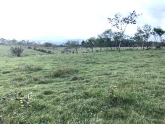 9.5ha Commercial Development Land Front Panamericana David