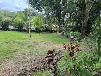 Expansive tropical backyard with fruit trees inside property Bugaba Chiriqui estate