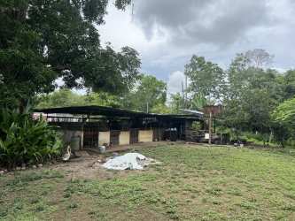 Rustic farm shed surrounded by green yard trees property Bugaba Chiriqui