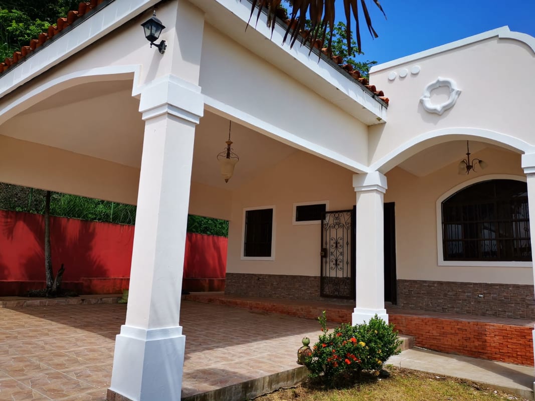 Spacious backyard with grassy garden palm trees and privacy wall Las Cumbres Panama