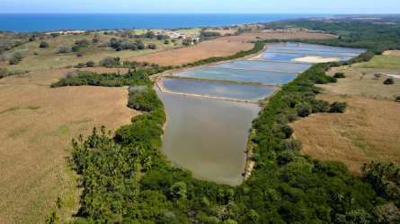 Aerial of coastal agricultural land with ponds near Pacific Ocean Los Santos Panama