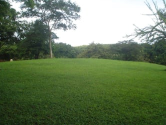 Grassy property hillside with surrounding mature trees in Nueva Gorgona