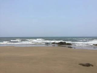 Land for Sale in Pedasí - 0 bedrooms