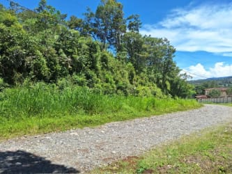Green dense forest area with mountain vistas perfect for eco-development Boquete Panama