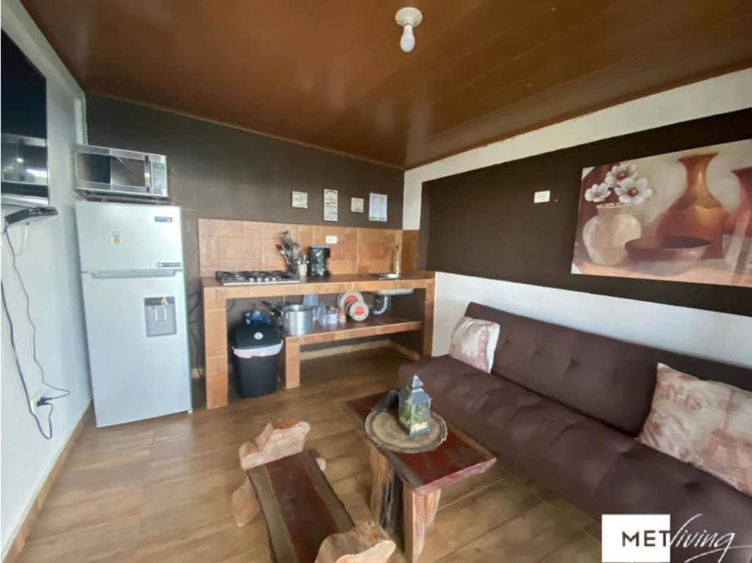 Outdoor fenced sports court surrounded by lush tropical landscape and perched parrot