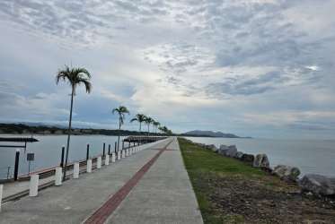Concrete path along waterfront with palm trees and rocks in PH Marina Golf San Carlos Panama