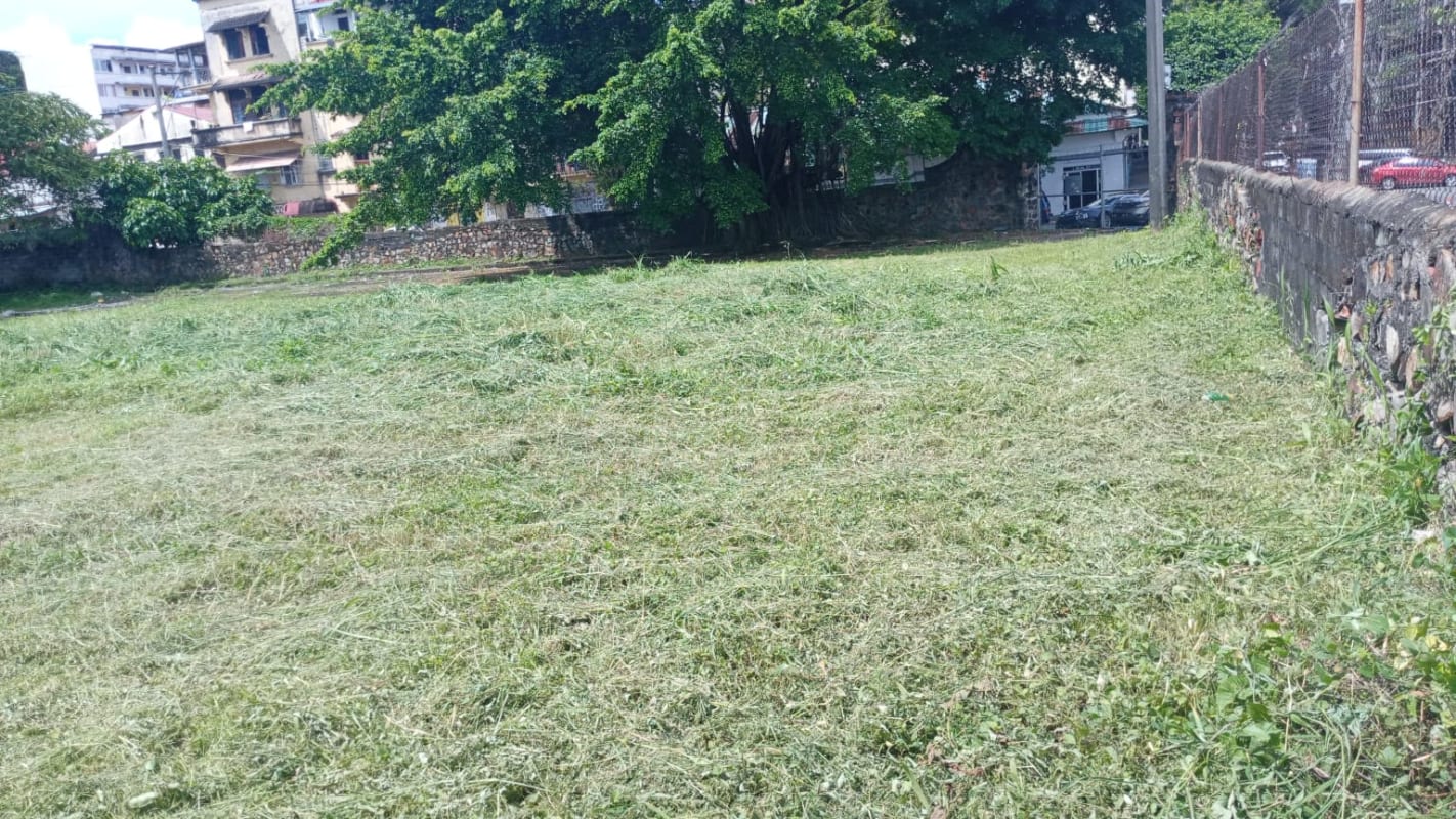 Open vacant lot with mature trees ready for commercial or residential project Santa Ana Panama