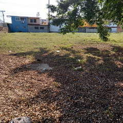 Land for Sale in Santa Ana - 0 bedrooms