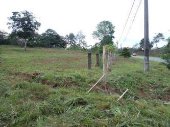 Wide open grassy land ideal for supermarkets or warehouses Nuevo Emperador Arraiján Panama