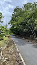 Paved countryside road with trees leading to property for sale in Sorá