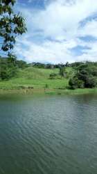View of green farmland and river edge on Clark Farms in Santa Rita La Chorrera Panama