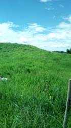 Green pastureland with rolling hills and fence in rural Clark Farms Santa Rita Chorrera Panama