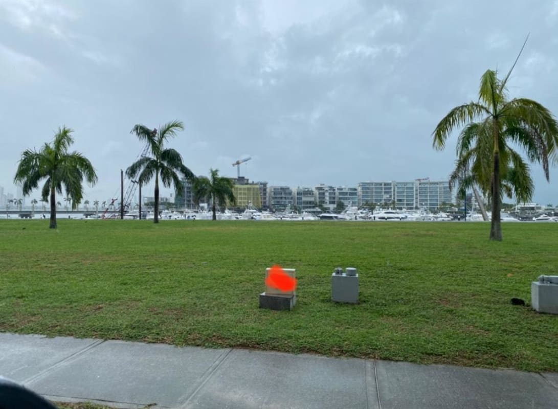 Palm trees and green lawn facing marina yachts and city skyline Ocean Reef Islands Panama