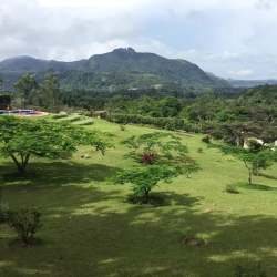Expansive grassy landscape with mountain scenery at countryside residence in Los Llanitos El Valle Panama
