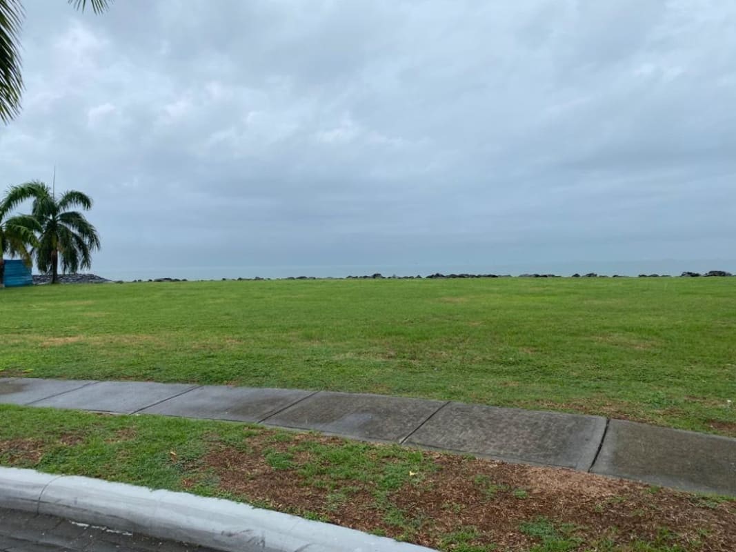 Green grass open lot with palm trees next to ocean marina on private island