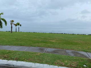 Land / Lot for Sale in Punta Pacífica - 0 bedrooms