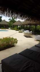 Resort-style outdoor swimming pool with palm trees and palapas at Coronado residential community