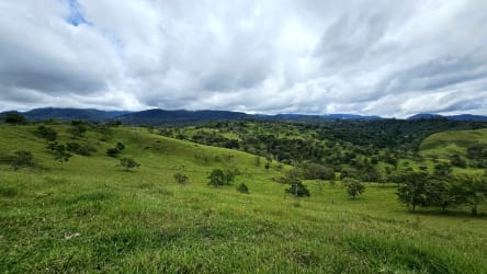 Agricultural & Cattle Estate 353ha Santa Clara Renacimiento, Chiriquí