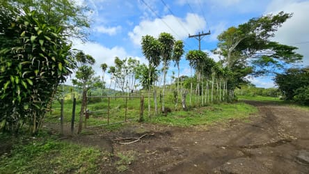 Rolling green hills and valleys on agricultural land Santa Clara Chiriquí Panama