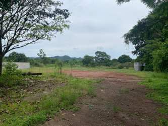 Expansive fields of grass trees and mountain backdrop within farm Capira Panama