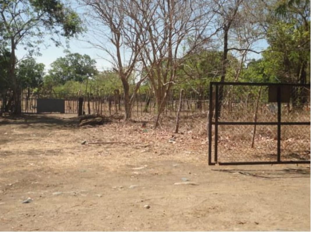 Fenced rural property gate with trees and dirt road farm lot for sale Chepo Panama