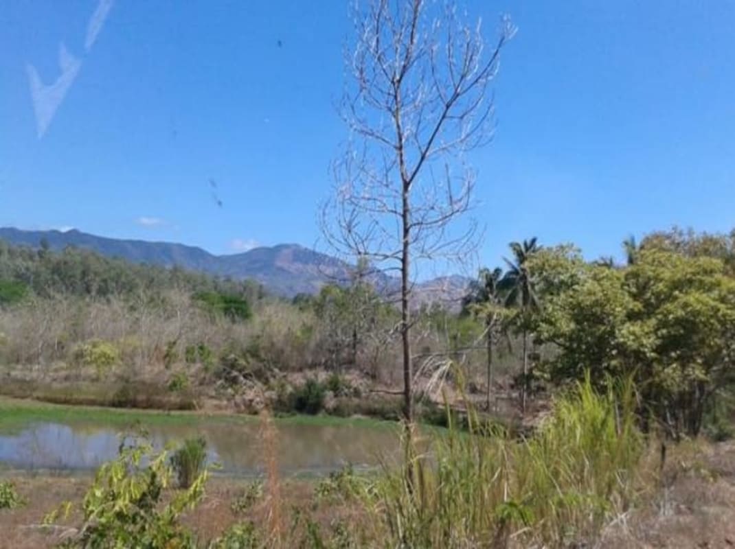 Private pond surrounded by trees and distant mountain views on farm for sale Chepo Panama