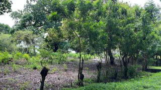 Land Lot for Sale in San José - 0 bedrooms