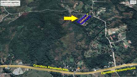 Satellite image of large forested plot near Pan-American Highway in Las Lagartijas Panama