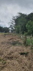 Cleared open countryside lot bordered by forest with mountain backdrop in Bugaba Panama