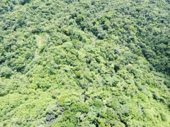 Hilly terrain covered in dense tropical forest in El Chirú Coclé Panama