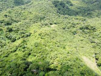 Natural tropical vegetation with hills for sale in El Chirú Coclé Panama