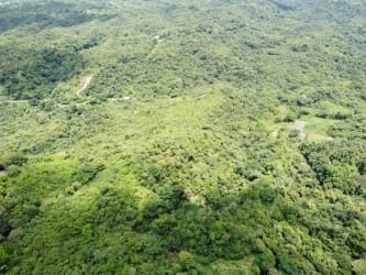 227,105 m2 Fertile Land for Sale in El Chirú Coclé