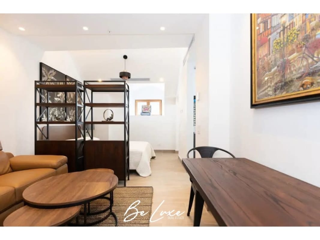 Charming Furnished Studio with Large Terrace Casco Viejo