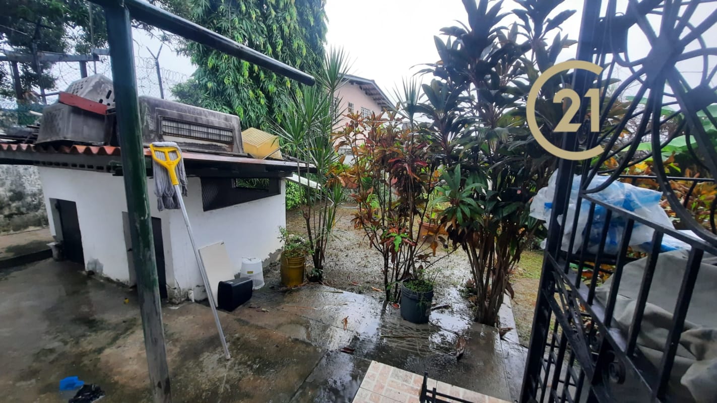 Backyard with garden shed, plants, patio in Panama City residential house for sale